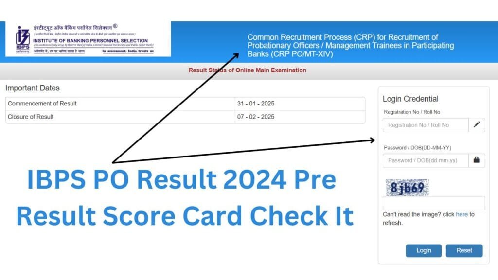 ibps po result 2024