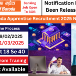 Bank of Baroda Apprentice Recruitment 2025 Apply 4000 Post